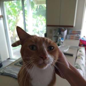 Meet your Posher, Sandy